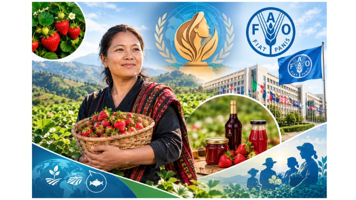 FAO 100 Women Heroes 2026: મિઝોરમની ZT લાલરીથાંગી સન્માનિત