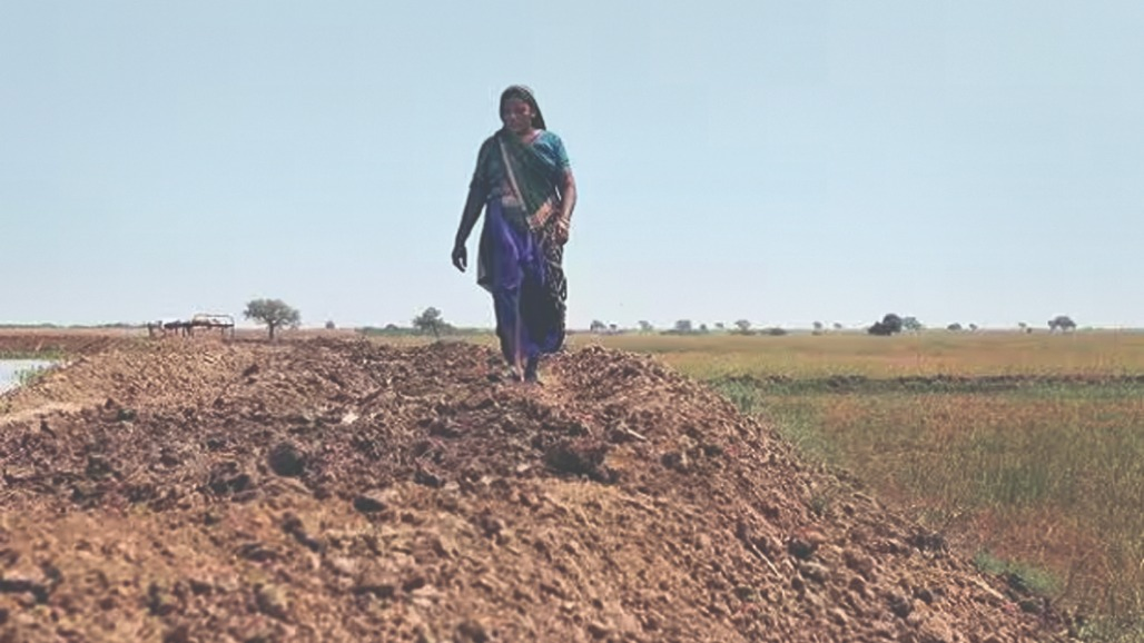 જમીન મહેસુલ અધિનિયમ અંતર્ગત બિનખેતી પ્રક્રિયાના સરળીકરણના બદલે જોગવાઈઓ નાબુદ કરવી જરૂરી