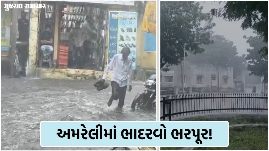 અમરેલીમાં ભાદરવો ભરપૂર! બાબરાના બળેલ પીપરીયા ગામે આભ ફાટ્યું, જળબંબાકારના દ્રશ્યો