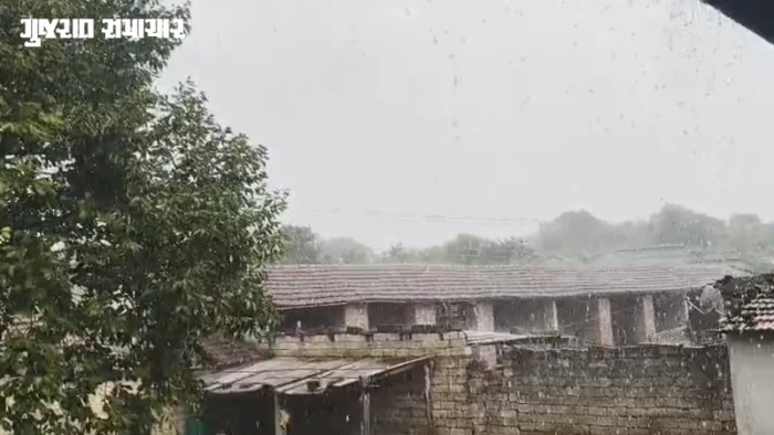 અમરેલીના ધારી, ખાંભા પંથકના ગ્રામ્ય વિસ્તારોમાં ધીમીધારે વરસાદ, જૂનાગઢ-ગીર સોમનાથમાં પણ વરસાદી ઝાપટાં