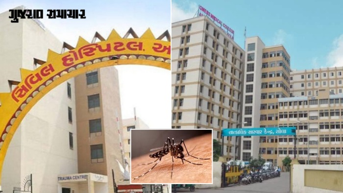 અમદાવાદમાં મચ્છરજન્ય રોગચાળો વકર્યો: સિવિલ અને સોલા સિવિલ દર્દીઓથી ઉભરાઈ, ડેન્ગ્યુના કેસોમાં ભારે ઉછાળો
