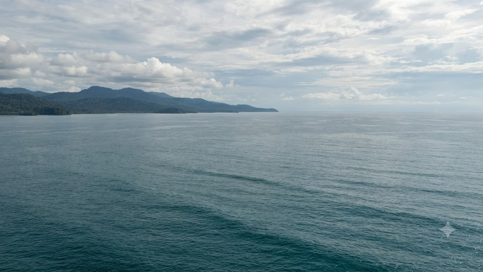 Indonesian Ferry Carrying 243 People Goes Missing in Java Sea, One Dead and 102 Rescued, Search Operation Continues