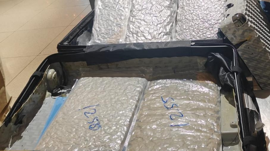 Ahmedabad Airport Drug Bust: Myanmar National Held With 6 Kg Hydroponic Marijuana Worth ₹6 Crore