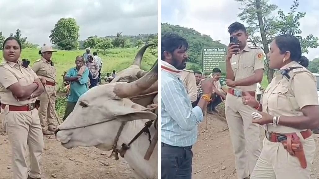 નર્મદામાં જંગલ જમીન વિવાદ વકર્યો