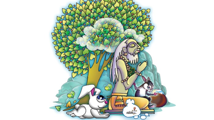 કાળુ સસલું, સફેદ સસલું