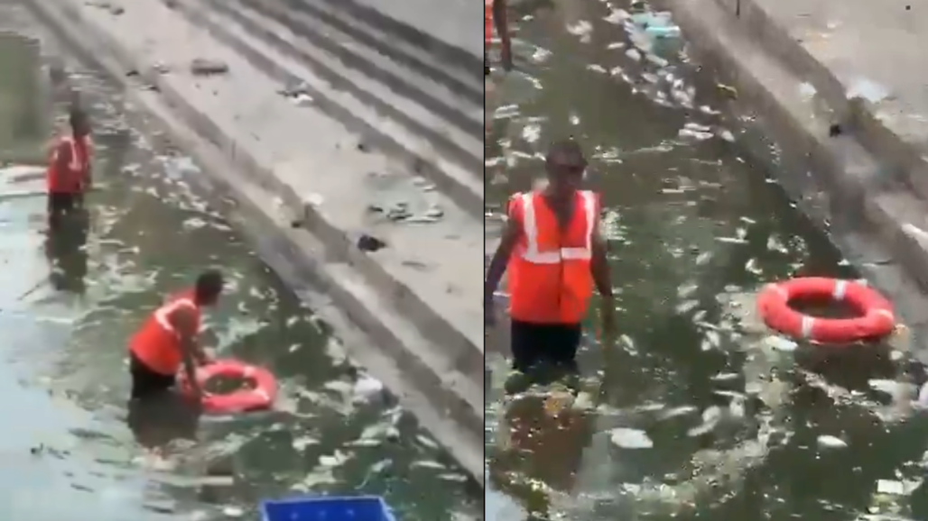 Hundreds of Fish Die At Mumbai’s Banganga Tank, But This Is Not a New Crisis