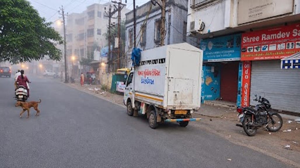 જામનગર શહેર અને જિલ્લામાં વહેલી સવારે ધુમ્મસ છવાયું