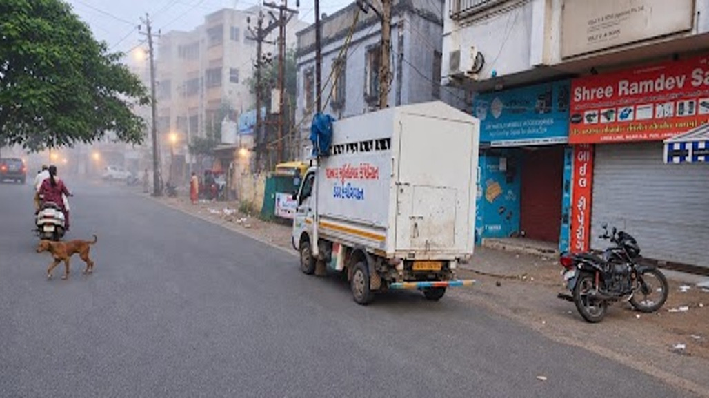 જામનગર શહેર અને જિલ્લામાં આજે વહેલી સવારે મોસમે મિજાજ બદલ્યો : ધુમ્મસની ચાદર છવાઈ, વાહનચાલકોને હાલાકી