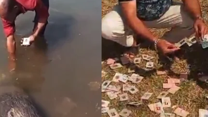 Around 343 Voter ID Cards Found Along Narmada River in MP, Congress Alleges ‘Vote Theft’ Conspiracy
