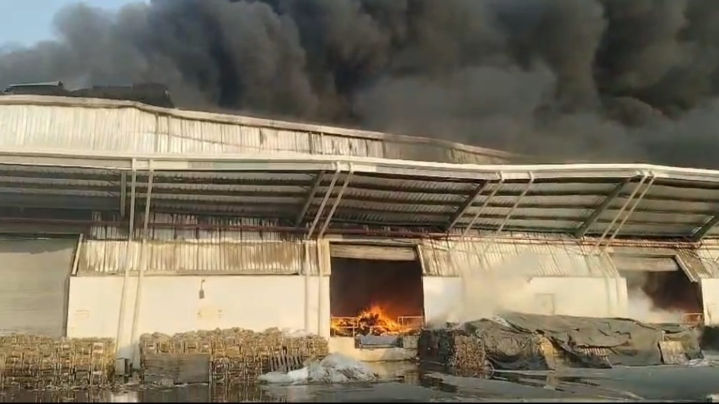 Massive Fire Engulfs Three Warehouses in Gujarat’s Umargam; Smoke Spreads Across 5 Km