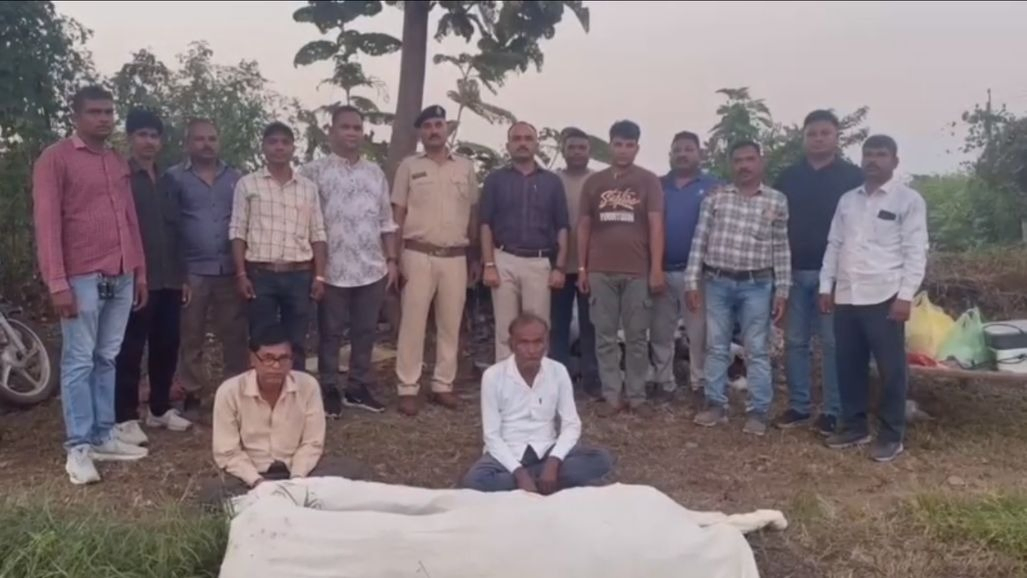 છોટા ઉદેપુર: નસવાડીના માતોરા ગામે બે ખેતરોમાંથી 8 લાખનો લીલો ગાંજો ઝડપાયો, બે શખસોની ધરપકડ