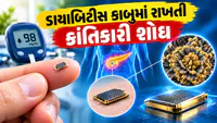 હવે ડાયાબિટીસ આપોઆપ કન્ટ્રોલ થશે, ઇન્સ્યુલિન કે દવા લેવાની જરૂર નહીં પડે, સુગર બાળતા USB-સાઇઝના ઇમ્પ્લાન્ટની શોધ હવે ડાયાબિટીસ આપોઆપ કન્ટ્રોલ થશે, ઇન્સ્યુલિન કે દવા લેવાની જરૂર નહીં પડે, સુગર બાળતા USB-સાઇઝના ઇમ્પ્લાન્ટની શોધ