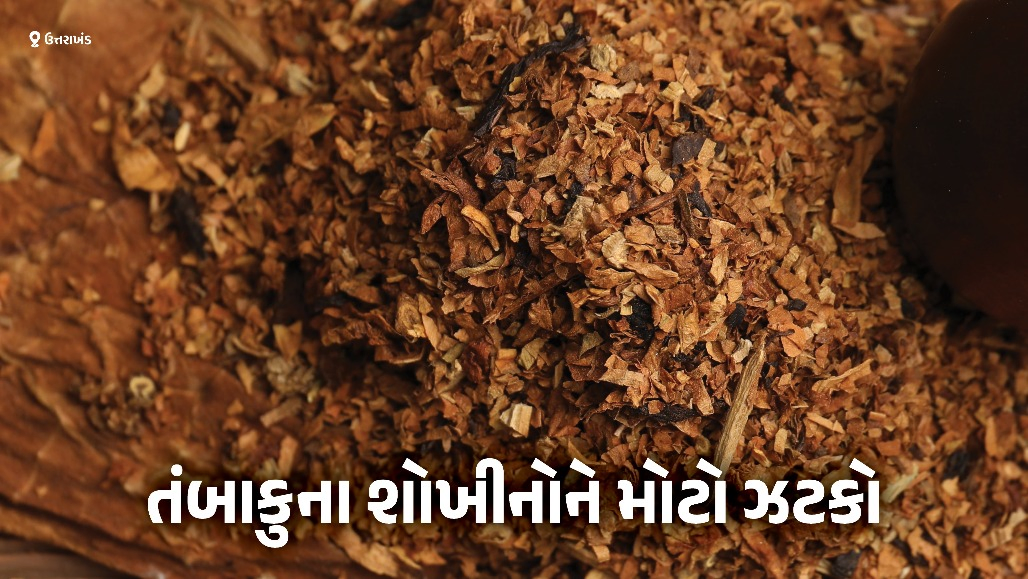 ગુટખા-પાન મસાલાના ઉત્પાદન કે વેચાણ પર 1 વર્ષનો પ્રતિબંધ, આ રાજ્યમાં કડક આદેશ જાહેર