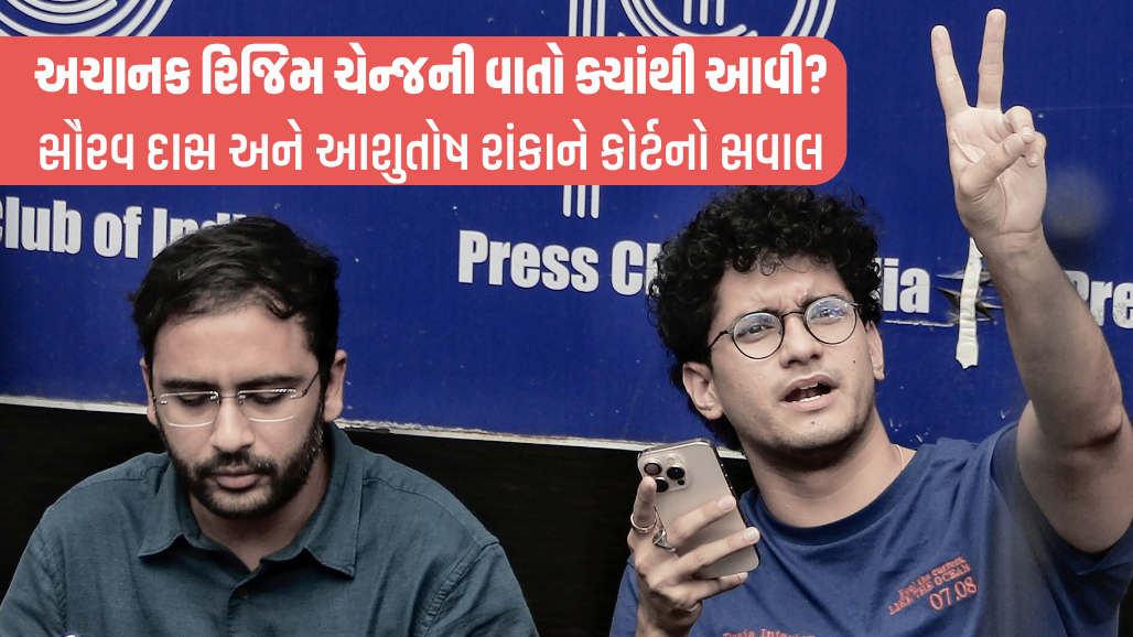 તમે જેન-ઝી નથી, જિંદગીમાં બીજું શું કરો છો? જંતર-મંતર કેસમાં CJP નેતાઓને હાઈકોર્ટનો સવાલ