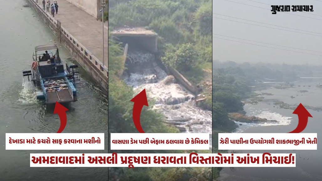 VIDEO| અમદાવાદ: સાબરમતીના ઝેરી પાણીમાં ઉગે છે આપણી થાળીનું શાક! કરોડોનો ખર્ચ છતાં નદી દૂષિત, તંત્રના આંખે પાટા