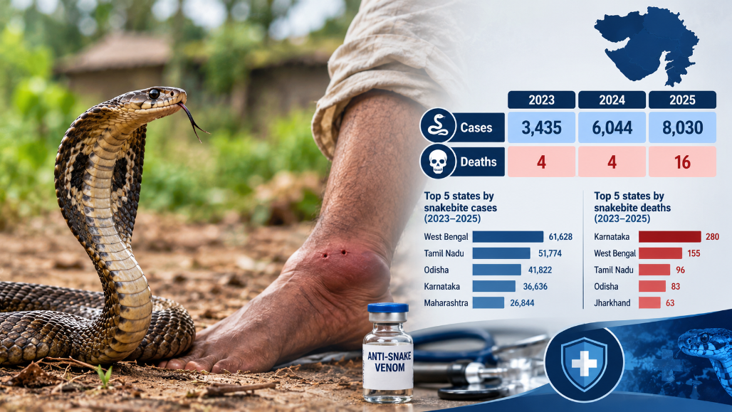 Gujarat Records 17,509 Snakebite Cases In Three Years; Deaths Jump Fourfold In 2025