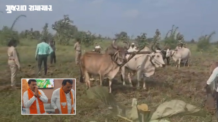 VIDEO| સાગબારા-ઉમરપાડા જંગલ જમીન વિવાદ: સવાલ પૂછતાં જ ગણપત વસાવા મૌન, પત્રકારોને હાથ જોડી ‘નમસ્કાર... ધન્યવાદ’ કહી ચાલતી પકડી!