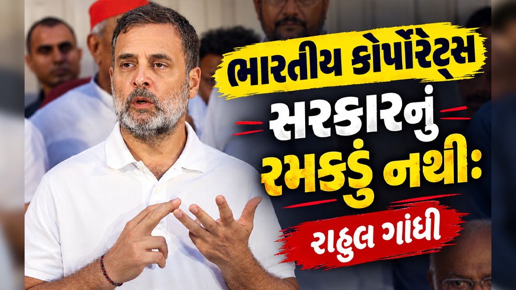 ટાટા ગ્રૂપને બરબાદ કરાઈ રહ્યું છે અને ઉદ્યોગપતિઓમાં બોલવાની હિંમત નથી: રાહુલ ગાંધી