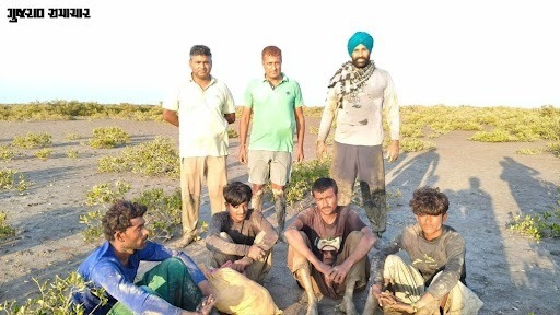 Four Pakistani Fishermen Arrested Off Kutch Coast as BSF Seizes Boat Near Sir Creek