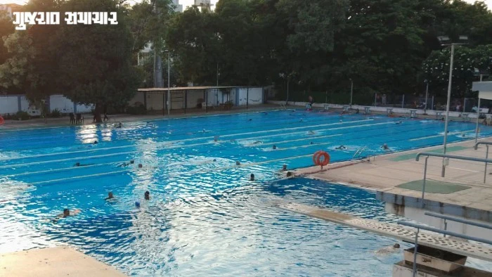 Biometric, Apps, Group Photos, and Medical Certificate: AMC Swimming Coaches Revolt Over ‘Discriminatory’ Fitness Rule