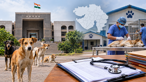 Gujarat Admits Gaps in Stray Dog Sterilisation Data Before High Court; Several Districts Lack ABC Centres