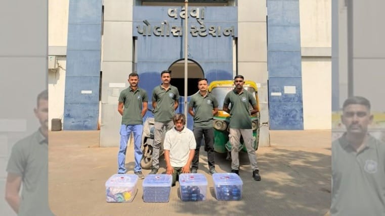 265 Bottles of Codeine Cough Syrup Seized in Ahmedabad’s Vatva, One ...