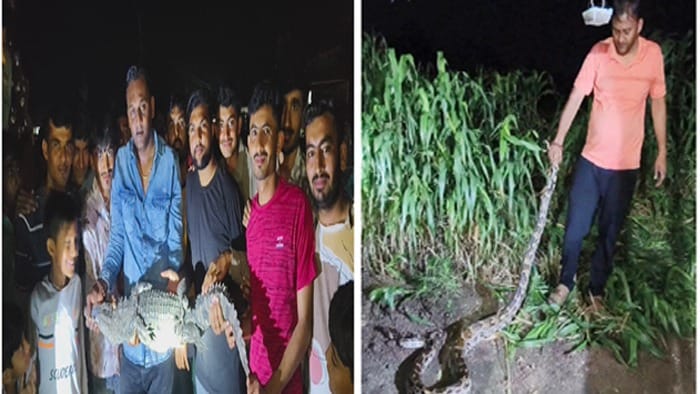 અપૂરતા વરસાદથી જળસ્ત્રોત સૂકાયા