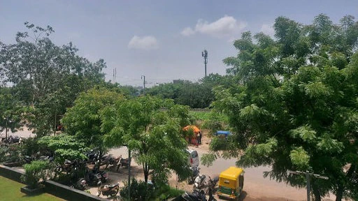 Cities Expanding at Cost of Green Cover, No Recent Urban Tree Census in Gujarat
