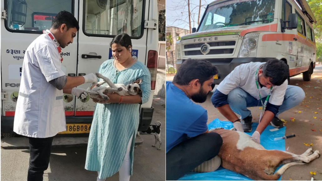 Gujarat’s 1962 Karuna Animal Ambulance Treats Over 10.95 Lakh Animals And Birds In 9 Years