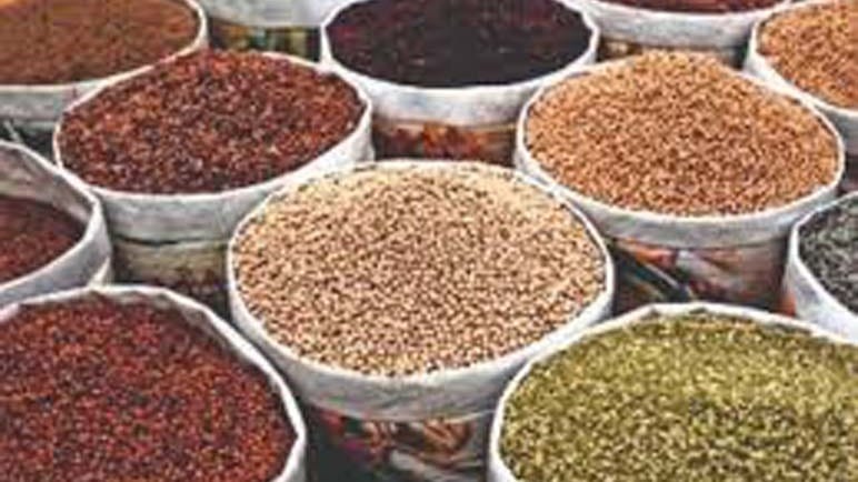 તહેવારો પહેલા કઠોળના ભાવમાં મોટો ઉછાળો