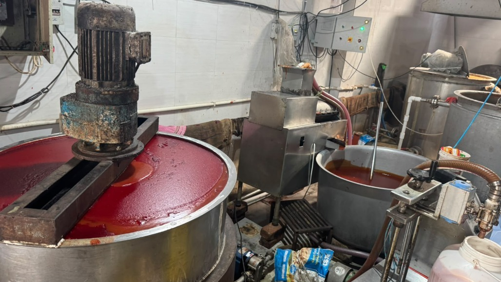 'No Tomatoes, Just Papaya, Potato, and Harmful Colour': Ahmedabad Food Department Seizes 10,000 Kg of Fake Tomato Sauce in Gota