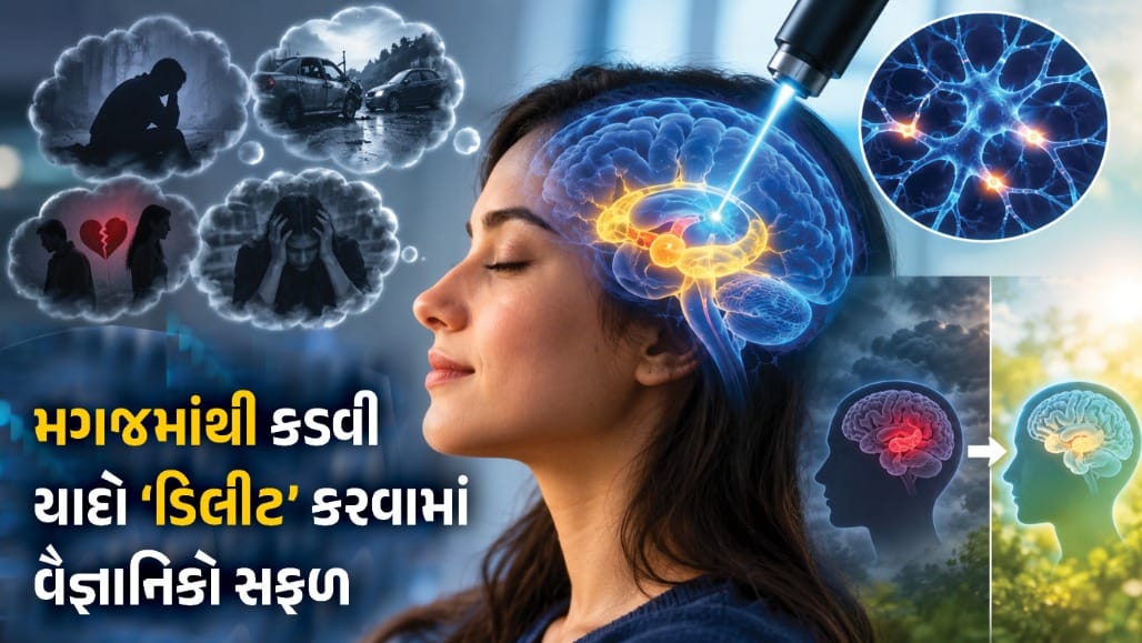 મગજમાંથી ખરાબ યાદો 'ડિલીટ' અને સારી યાદો 'સેવ' કરવાના વૈજ્ઞાનિકોના સંશોધનમાં મોટા સમાચાર