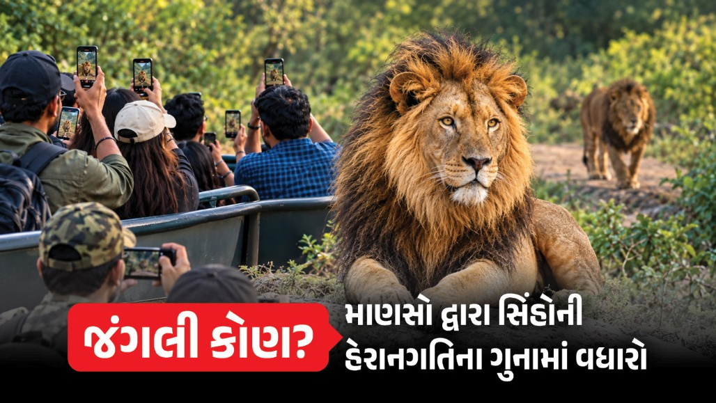 રીલની ઘેલછામાં ગીરના સાવજ ત્રસ્ત, 4 મહિનામાં 75 ગુનામાં રૂ. 13.30 લાખથી વધુનો દંડ વસૂલાયો